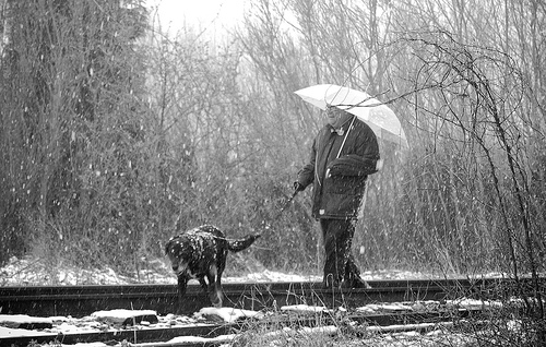 elderly_man_and_dog1.jpg