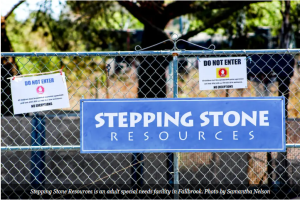 stepping-stone-300x200